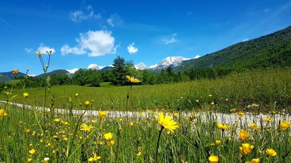 Apartments Susnik Bohinj Dış mekan fotoğraf