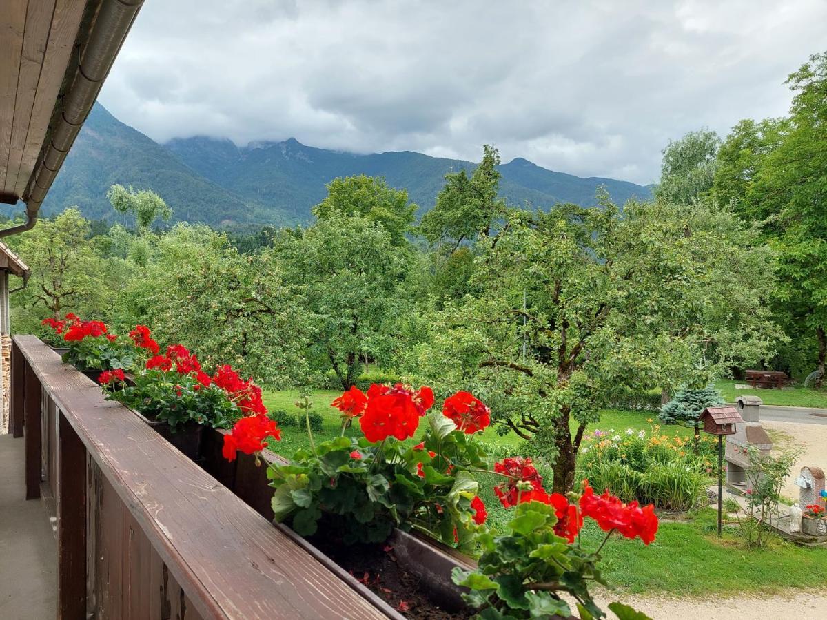 Apartments Susnik Bohinj Dış mekan fotoğraf