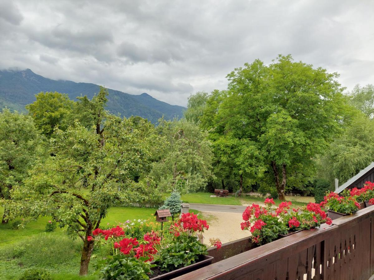 Apartments Susnik Bohinj Dış mekan fotoğraf