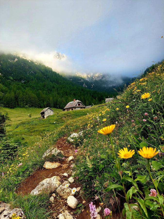 Apartments Susnik Bohinj Dış mekan fotoğraf
