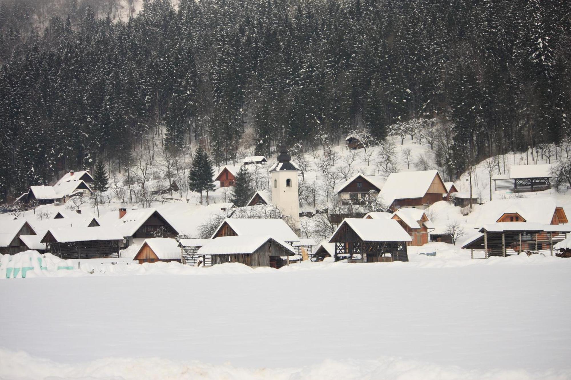 Apartments Susnik Bohinj Dış mekan fotoğraf
