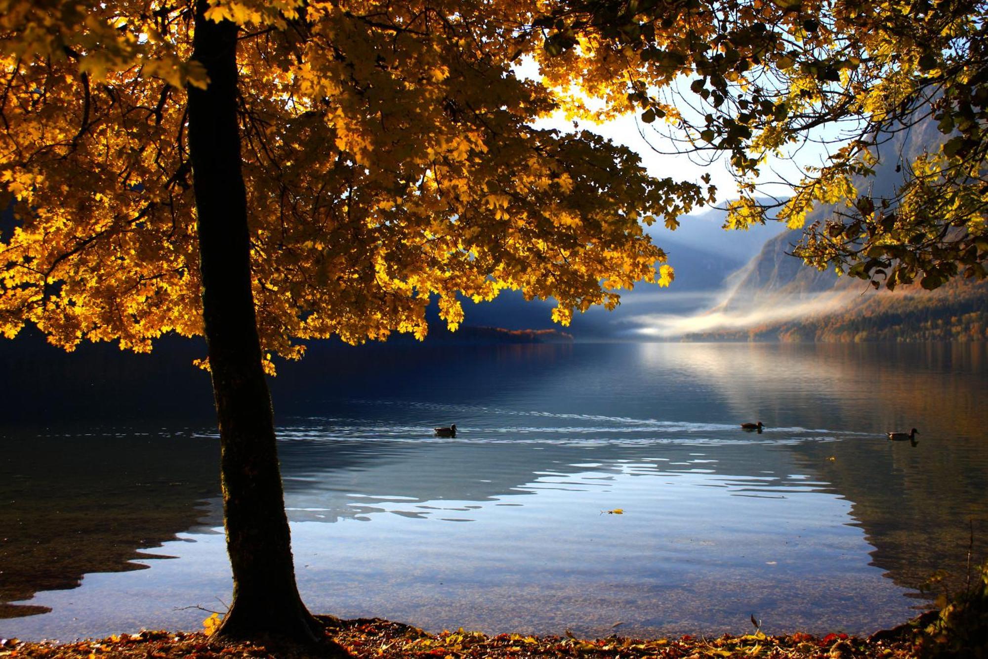 Apartments Susnik Bohinj Dış mekan fotoğraf